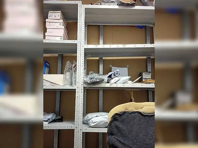 KITTYtempreXXX on BongaCams