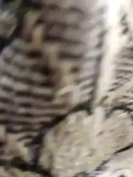 Cuty_kinjal — My boosh