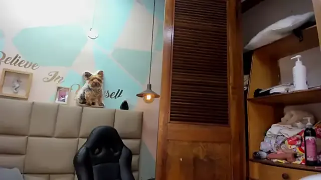 lilybaudyn_ on StripChat 