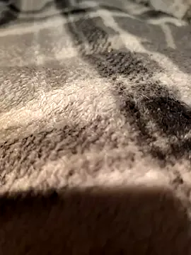 Shinlelove31 — Tip