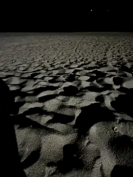 winter11 — 200 20