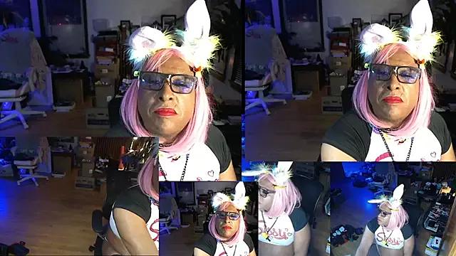 Gray-Platinum-Orchid from StripChat is Freechat