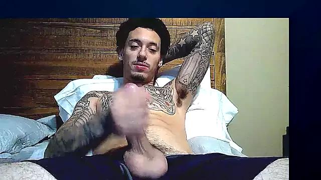 guylovewiz from StripChat is Freechat