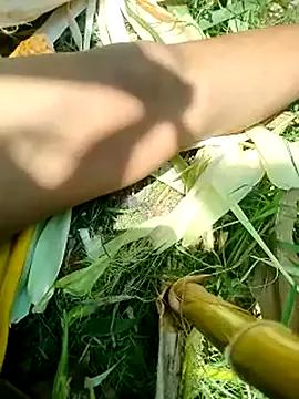 Your_kajal_Bhabhi from StripChat is Freechat